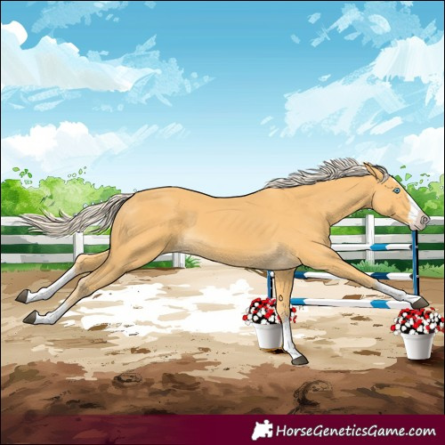 Horse Color:Palomino Splash
