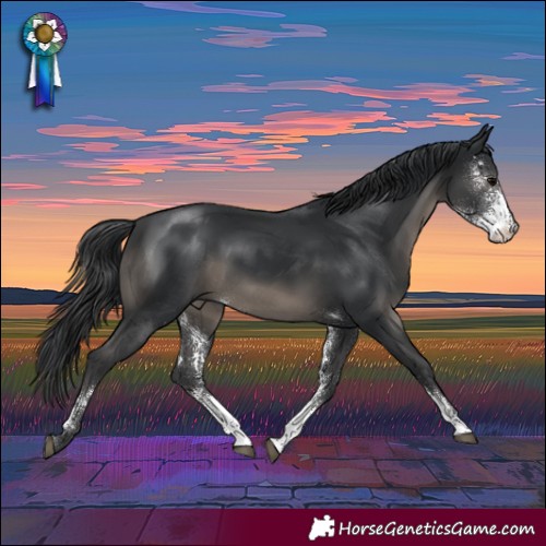 Horse Color:Black Sabino Rabicano 