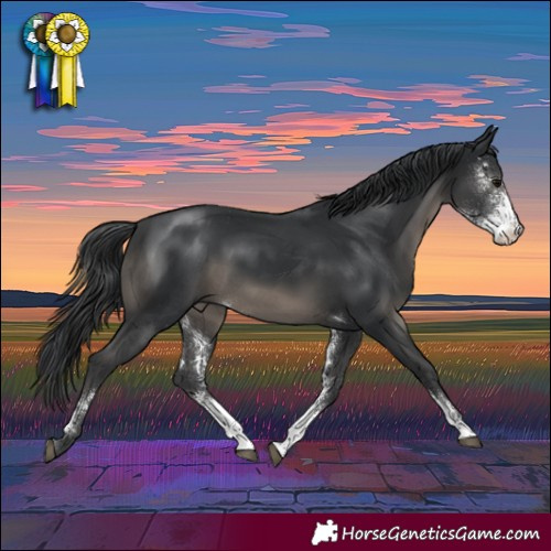 Horse Color:Black Sabino Rabicano 