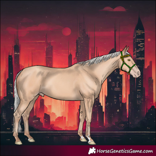 Horse Color:Silver Amber Champagne