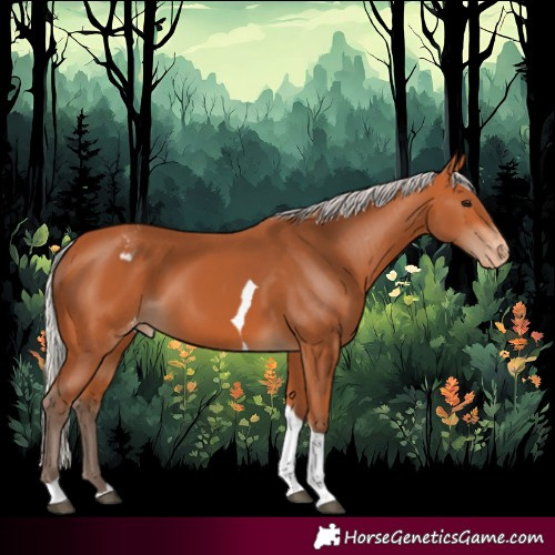 Horse Color:Silver Bay Tobiano Varnish 