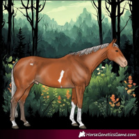 Horse Color:Silver Bay Tobiano Varnish 