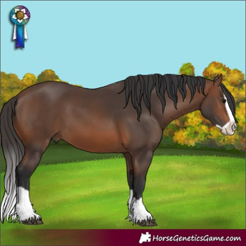 Horse Color:Brown Splash