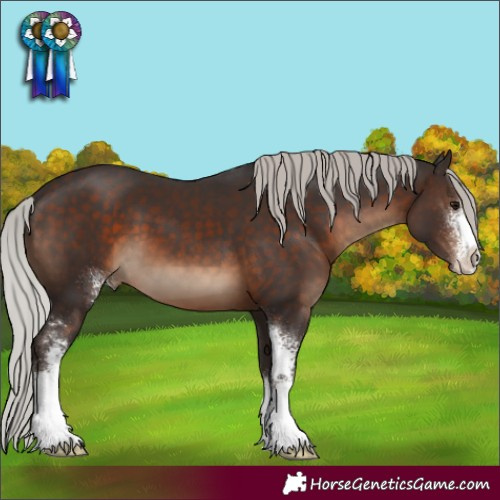 Horse Color:Silver Brown Sabino 