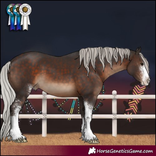 Horse Color:Silver Brown Sabino 