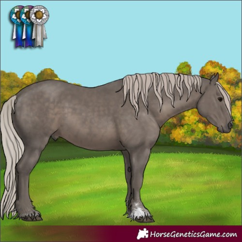 Horse Color:Silver Black 
