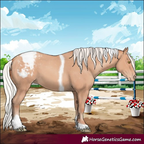 Horse Color:Silver Amber Champagne Tobiano Snowcap 