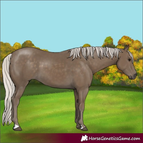 Horse Color:Silver Smoky Black 