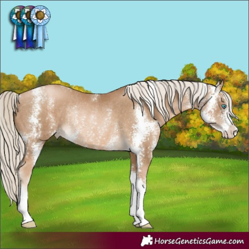 Horse Color:Chocolate Palomino Pearl Sabino Rabicano