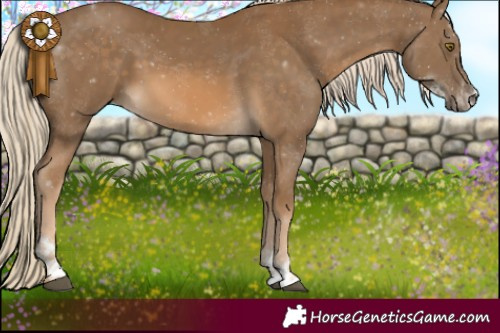 Horse Color:Chocolate Palomino Sabino