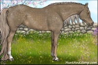 Horse Color:Chocolate Palomino Sabino