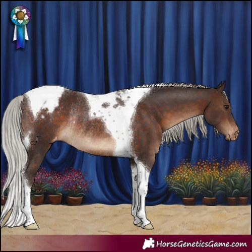 Horse Color:Silver Brown Tobiano Appaloosa Rabicano 