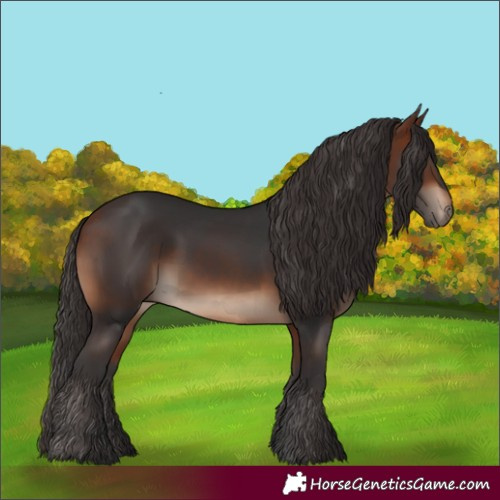 Horse Color:White Spotted Bay