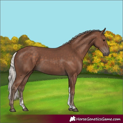 Horse Color:Silver Black Sabino