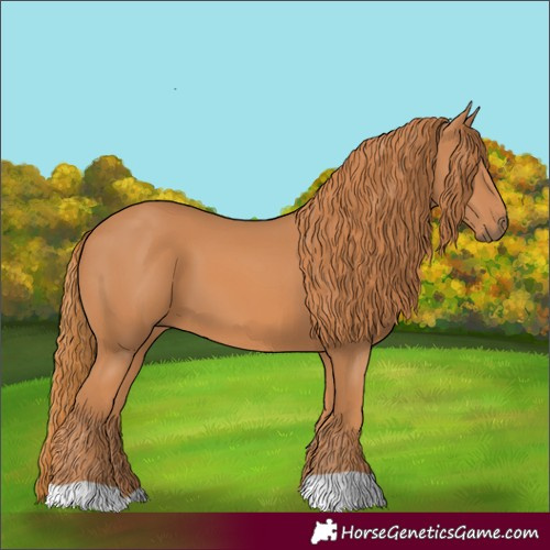 Horse Color:Chestnut 