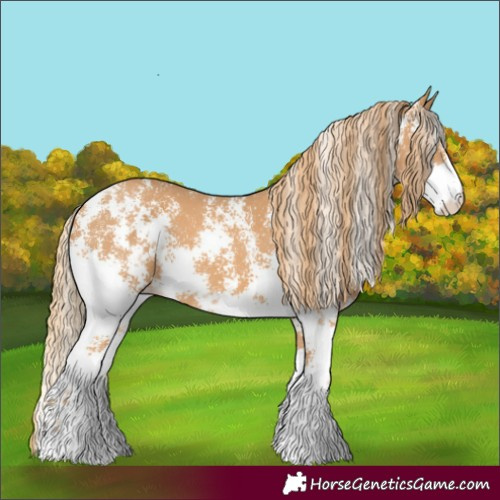 Horse Color:Chestnut Sabino 