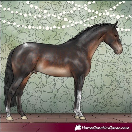 Horse Color:Brown Tobiano Varnish