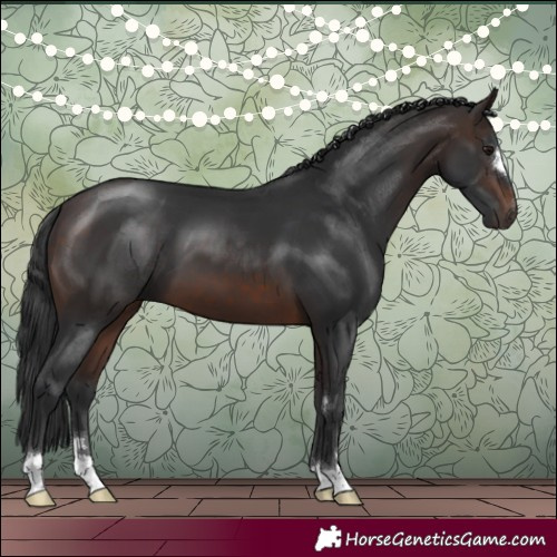 Horse Color:Brown 