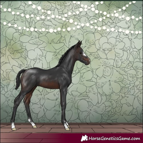Horse Color:Brown 