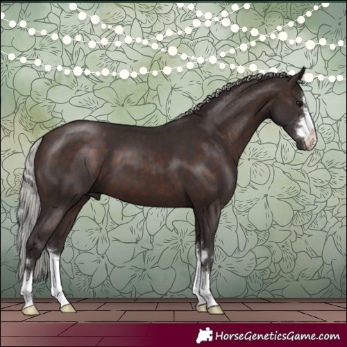 Horse Color:Silver Brown 
