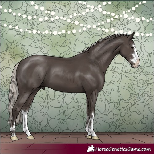 Horse Color:Silver Black