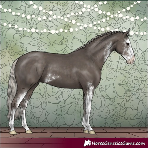 Horse Color:Silver Black Sabino