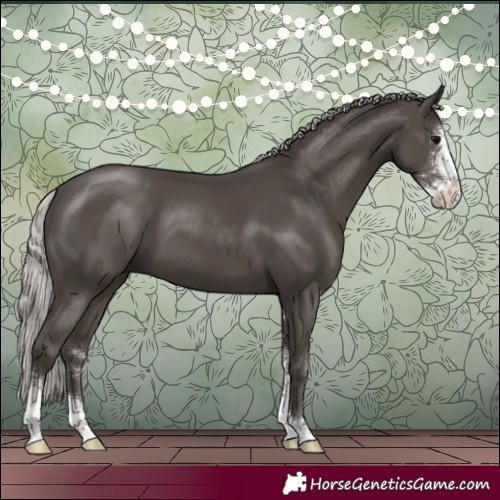 Horse Color:Silver Black Sabino