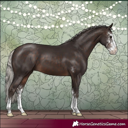 Horse Color:Silver Brown Sabino 