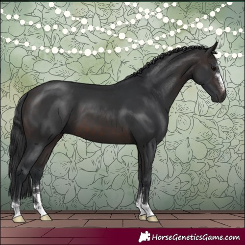 Horse Color:Brown 