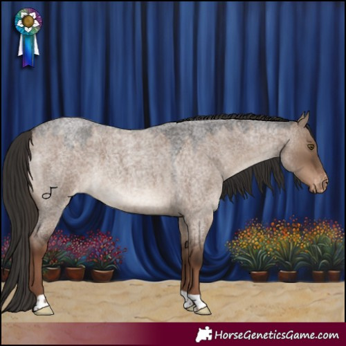 Horse Color:Liver Red Dun Roan Appaloosa