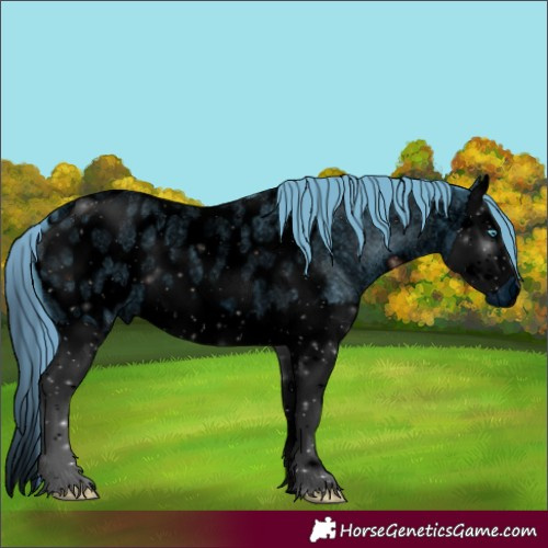 Horse Color:ERROR: UNKNOWN ANOMALY