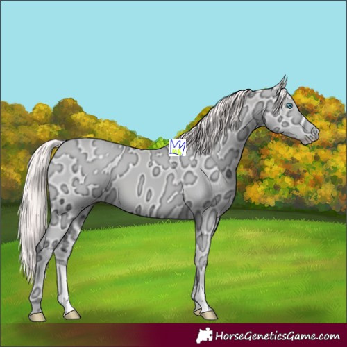 Horse Color:Perlino Ice