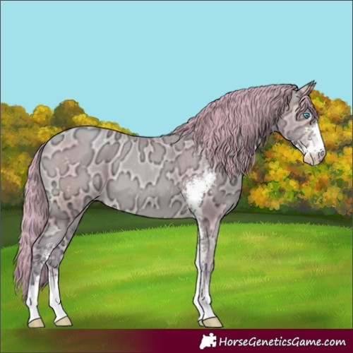 Horse Color:Watercolor Buckskin Ice Pearl Sabino 