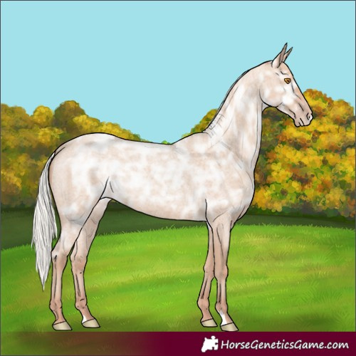 Horse Color:Silver Classic Champagne Ice Roan Rabicano 