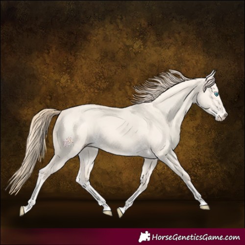 Horse Color:Perlino Dun
