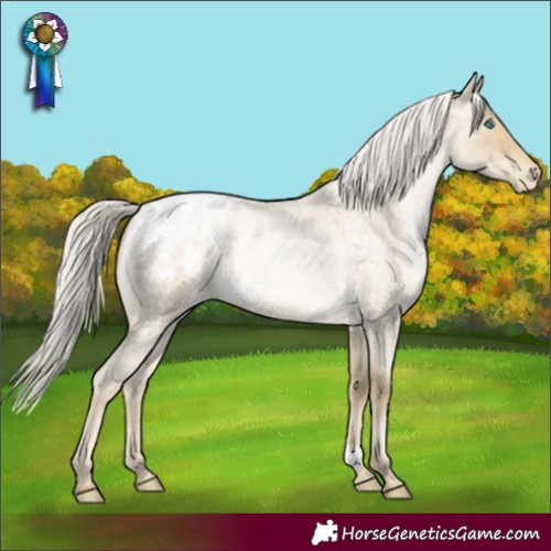 Horse Color:Silver Buckskin Roan Pearl Dun Appaloosa 
