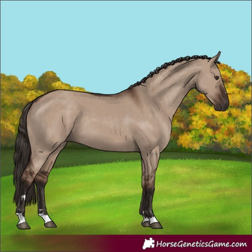 Horse Color:Liver Red Dun 