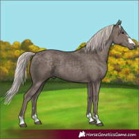 Horse Color:Silver Black 