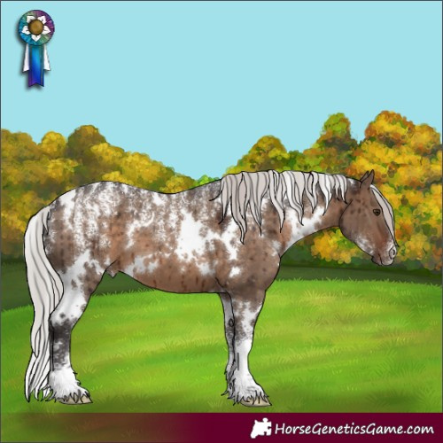 Horse Color:Powder White White Spotted Silver Brown Dun Brindle