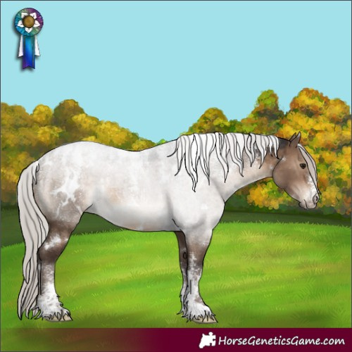 Horse Color:Powder White White Spotted Silver Brown Dun