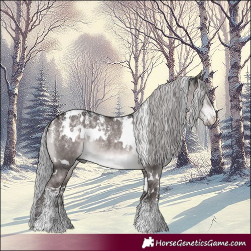 Horse Color:Powder White Platinum White Spotted Silver Brown Dun Rabicano