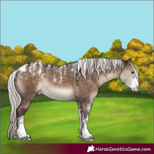 Horse Color:Powder White Silver Brown Dun Rabicano