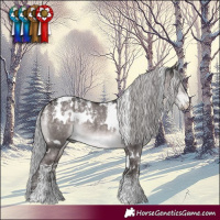 Horse Color:Powder White Platinum White Spotted Silver Brown Dun Rabicano