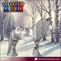 Horse Color:Powder White Platinum White Spotted Silver Brown Dun Rabicano 
