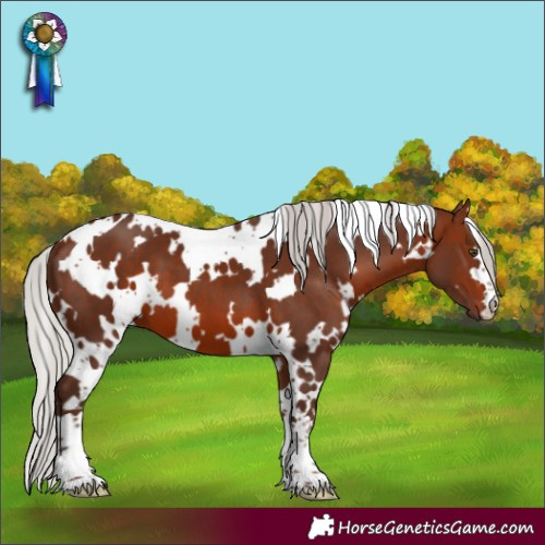 Horse Color:White Spotted Silver Bay Mushroom 