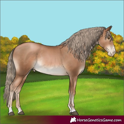 Horse Color:Liver Chestnut Pearl Rabicano