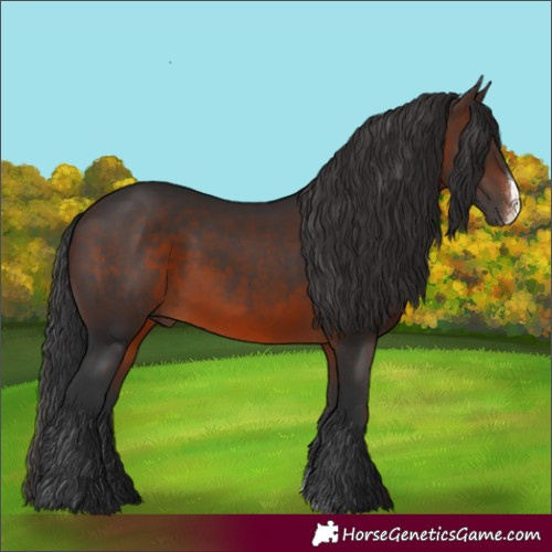 Horse Color:Brown Sabino