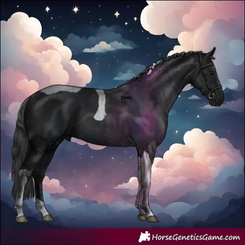 Horse Color:Black Tobiano