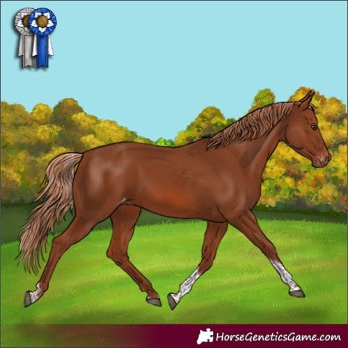 Horse Color:Chestnut Tobiano Varnish