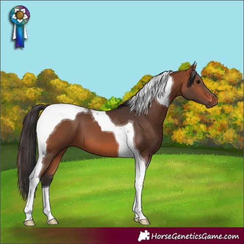 Horse Color:Bay Tobiano 